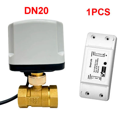 WiFi Smart Timing Switch Electric Ball Valve