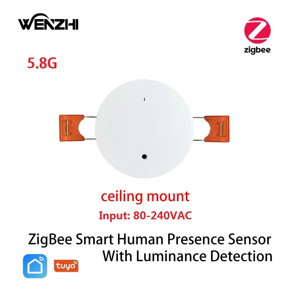 Wifi MmWave Human Presence Motion Sensor