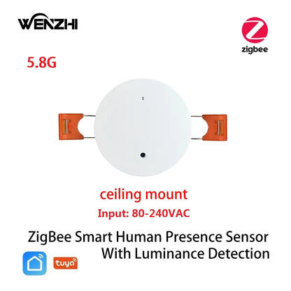 Wifi MmWave Human Presence Motion Sensor