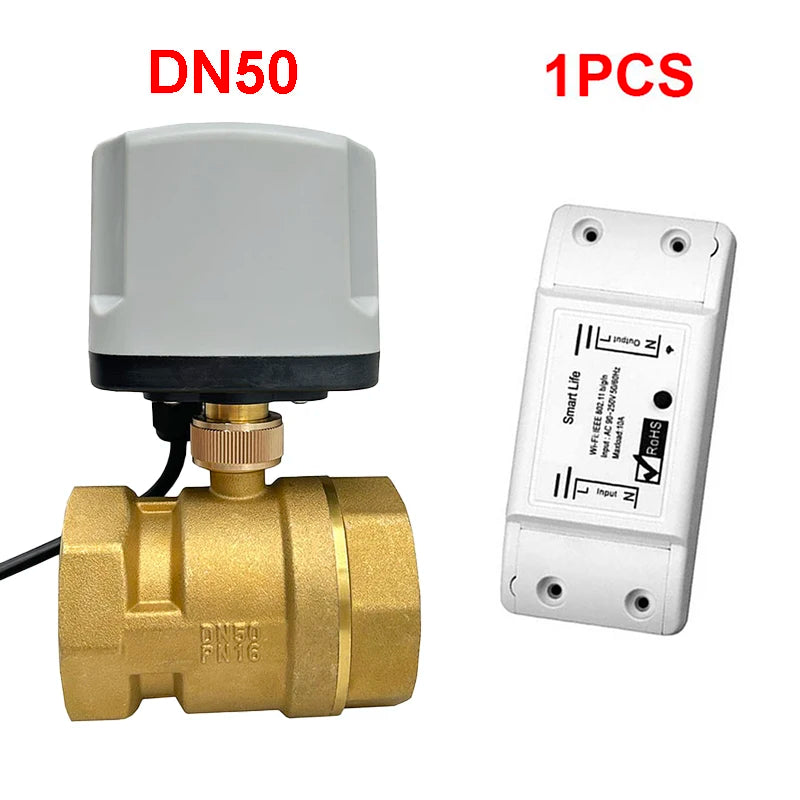 WiFi Smart Timing Switch Electric Ball Valve