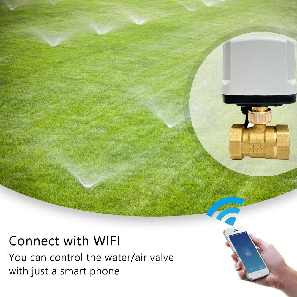 WiFi Smart Timing Switch Electric Ball Valve