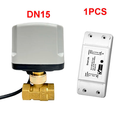 WiFi Smart Timing Switch Electric Ball Valve