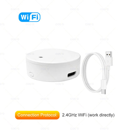 Wifi MmWave Human Presence Motion Sensor