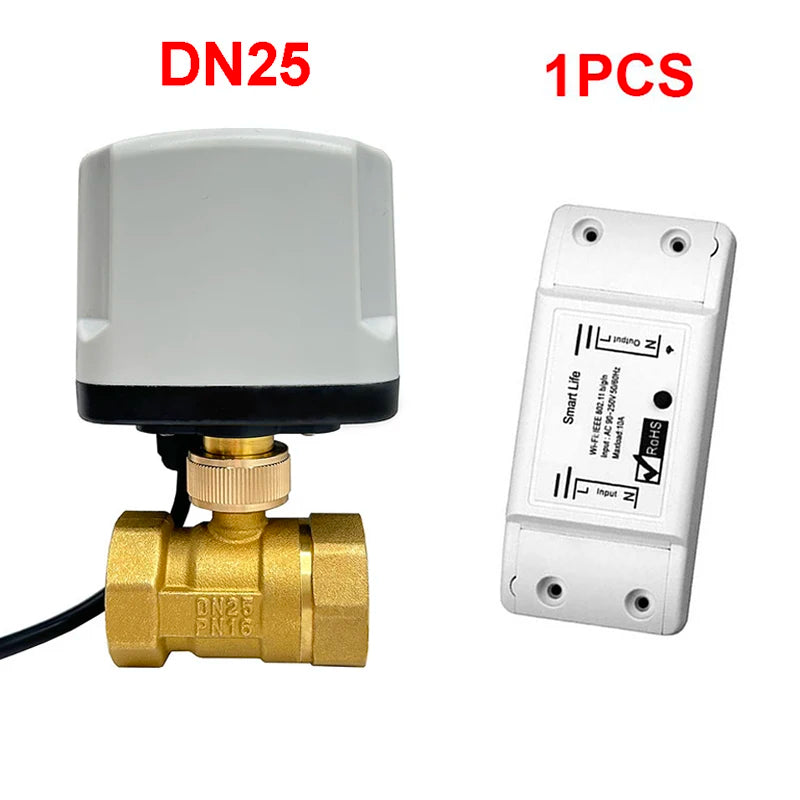 WiFi Smart Timing Switch Electric Ball Valve