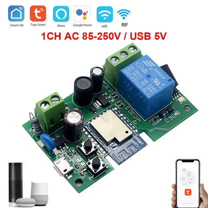 Smart Life wifi switch DC 12v 24v 220v