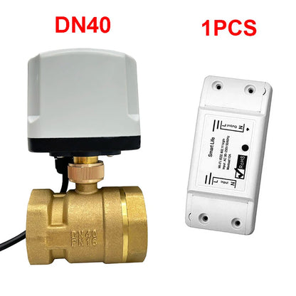 WiFi Smart Timing Switch Electric Ball Valve