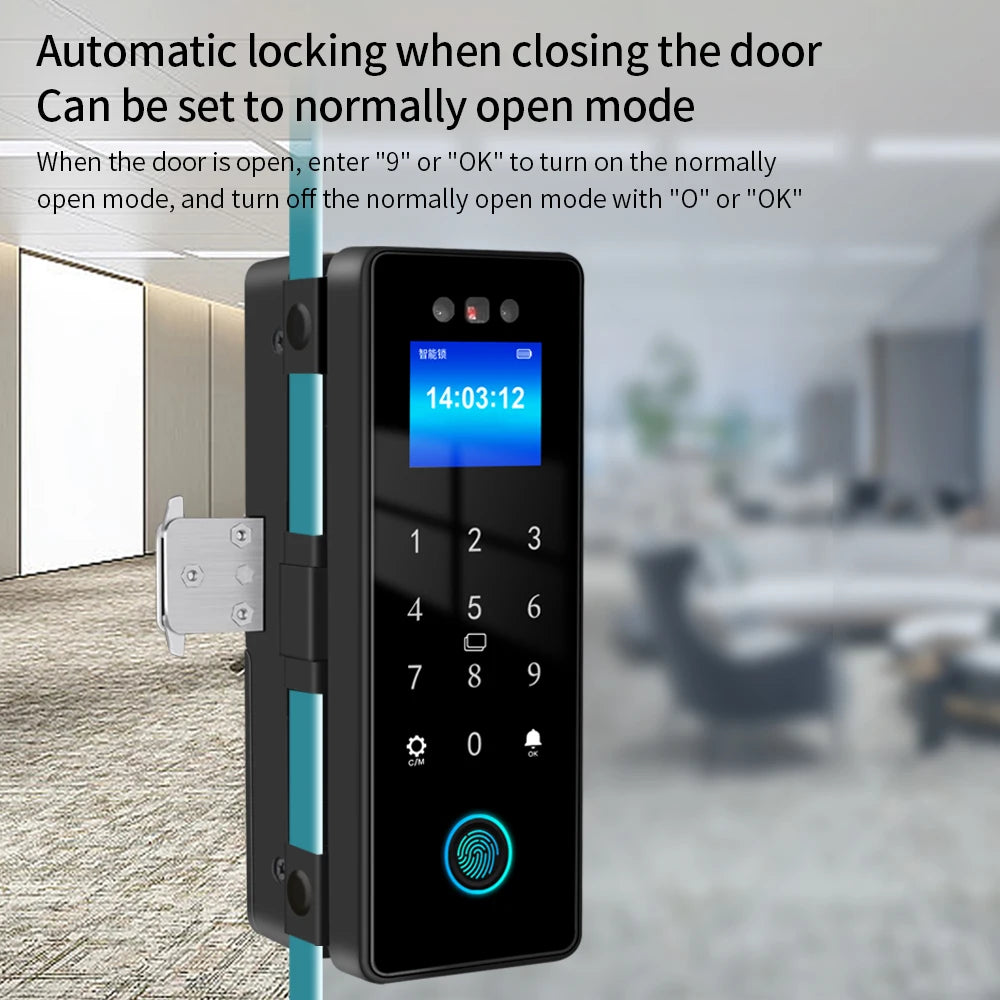 Wifi Electronic Smart Glass Door Lock With Biometric