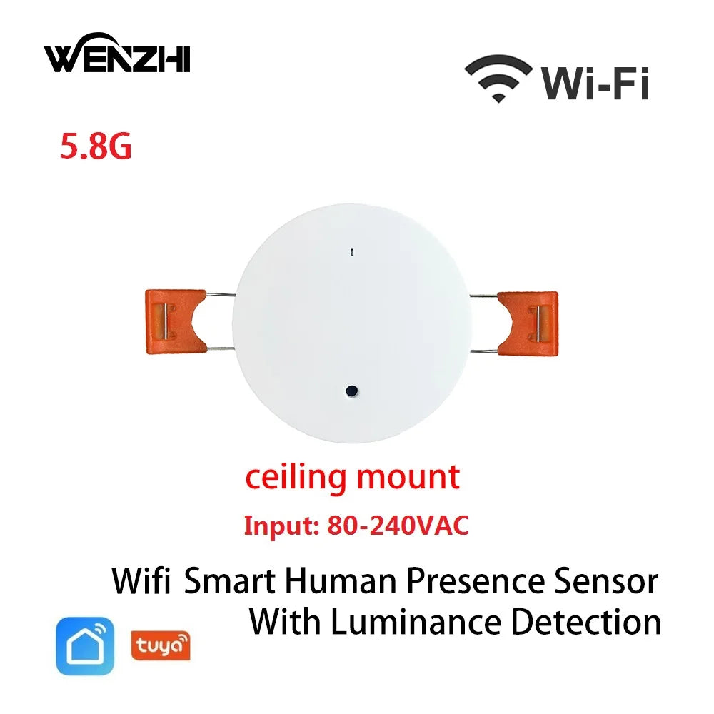 Wifi MmWave Human Presence Motion Sensor