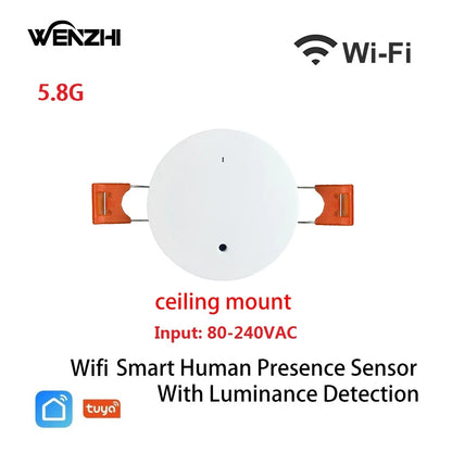 Wifi MmWave Human Presence Motion Sensor